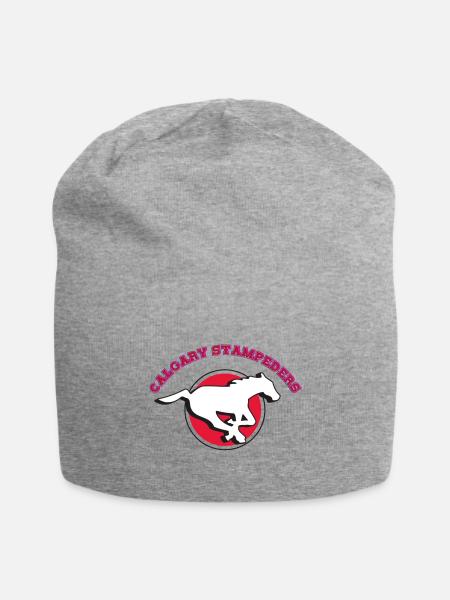 Calgary Stampeders - Jersey Beanie - heather gray - Front