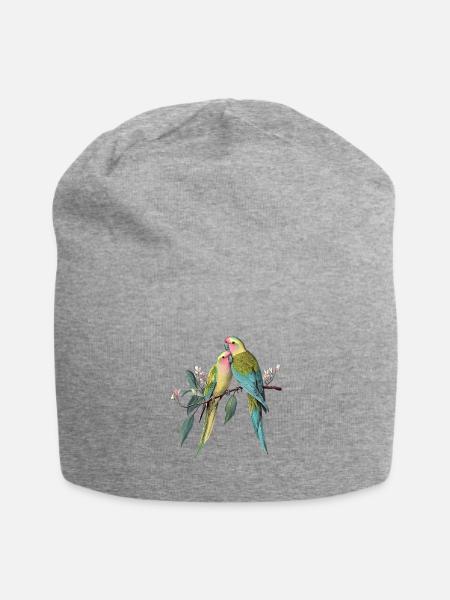 Vintage Princess Parrots Illustration - Jersey Beanie - heather gray