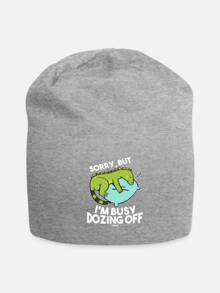 iguana - Jersey Beanie - heather gray - Front