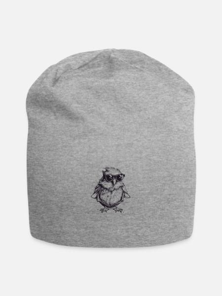 CrazyFeathers - Jersey Beanie - heather gray - Front