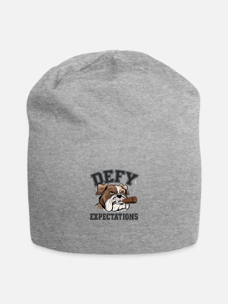 Defy Expectations - Jersey Beanie - heather gray - Front