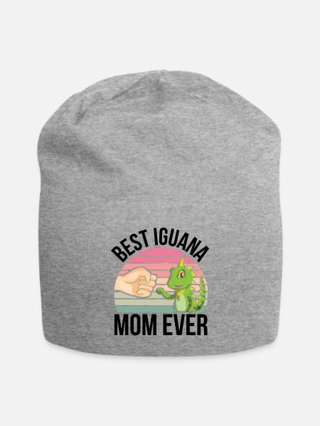 iguana - Jersey Beanie - heather gray - Front