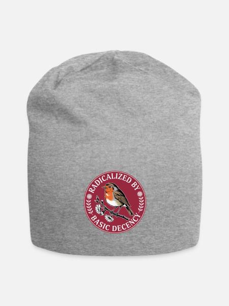 Radicalized By Basic Decency - Jersey Beanie - heather gray - Front