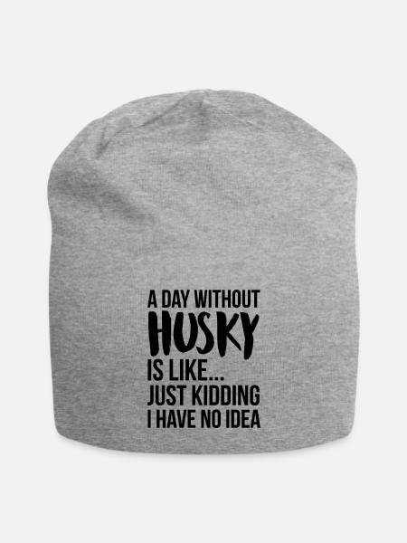 A Day Without Husky - Jersey Beanie - heather gray - Front