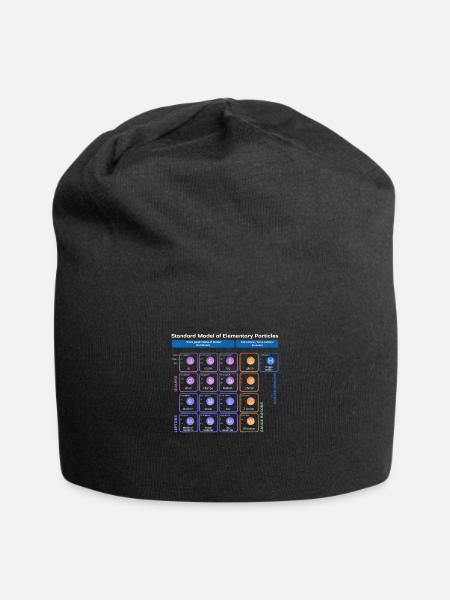 Elementary Particles Standard Physicist - Jersey Beanie - black