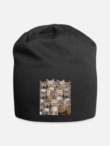 Surprised cats - Jersey Beanie - black - Front