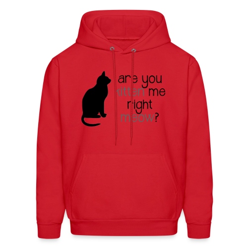 Right Meow by Danielle R. - Men's Hoodie