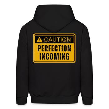 Quality Manager PERFECTION INCOMING Perfectionist - Men's Hoodie - black - Back - Elias (183cm)