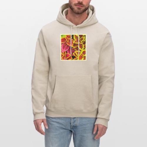 Coleus Leaf Burst Design - Men's Hoodie