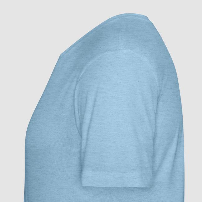 Alternate Design "Memorize What Matters"