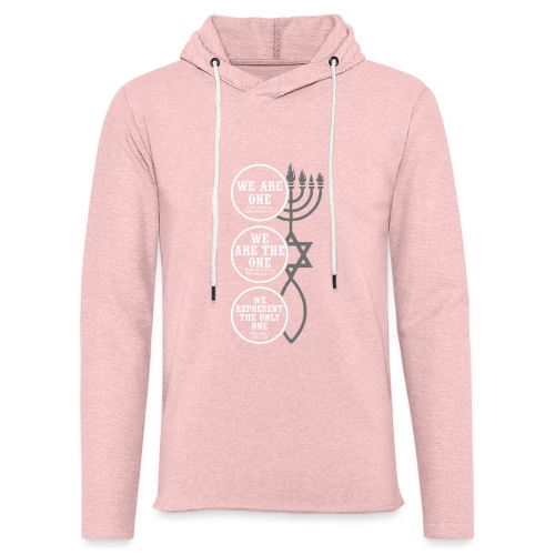 We Are One Long Sleeve - T-Shirt - Women's - Unisex Lightweight Terry Hoodie