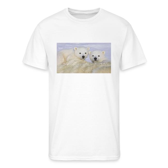 polarbears