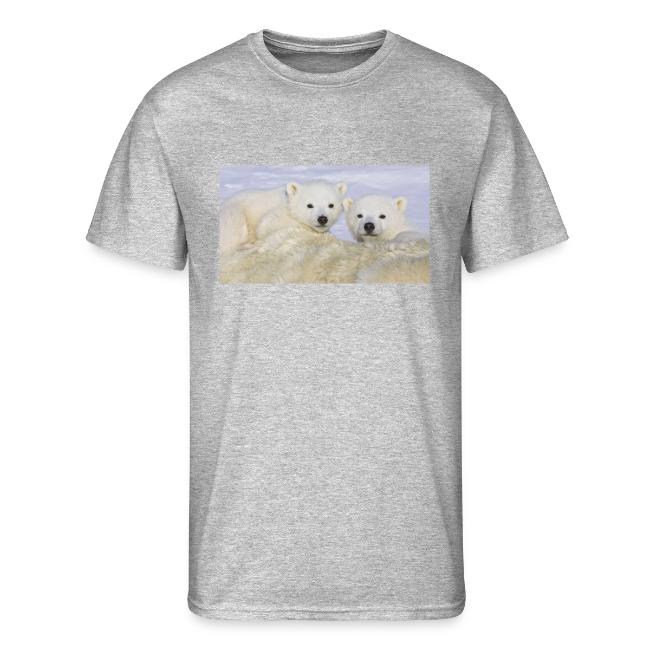 polarbears