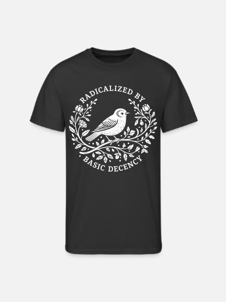 Radicalized by Basic Decency - Men's 50/50 T-Shirt - black