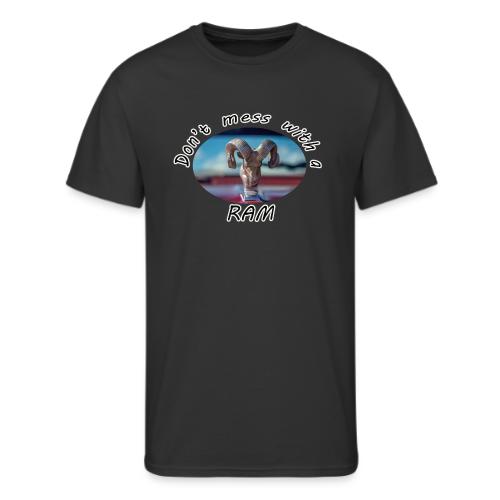Don’t Mess with a RAM - Men's 50/50 T-Shirt