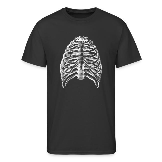 Human Rib Cage