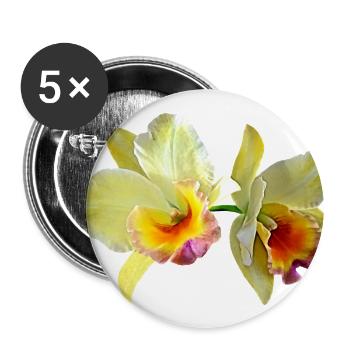 Pale Yellow Cattleya Orchids - Buttons large 2.2'' (5-pack) - white