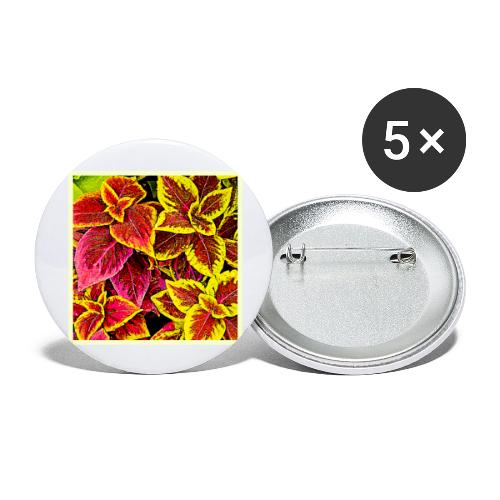 Coleus Leaf Burst Design - Buttons large 2.2'' (5-pack)