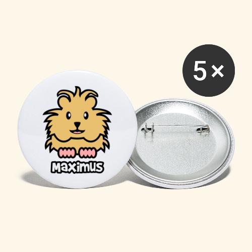 Guinea Pig Maximus - Buttons large 2.2'' (5-pack)