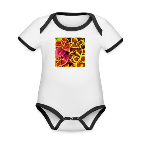 Coleus Leaf Burst Design - Organic Contrast SS Baby Bodysuit