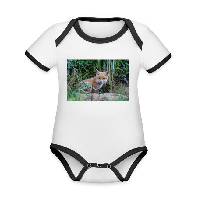 fox