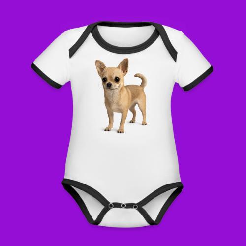 Chihuahua - Organic Contrast SS Baby Bodysuit