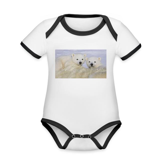 polarbears