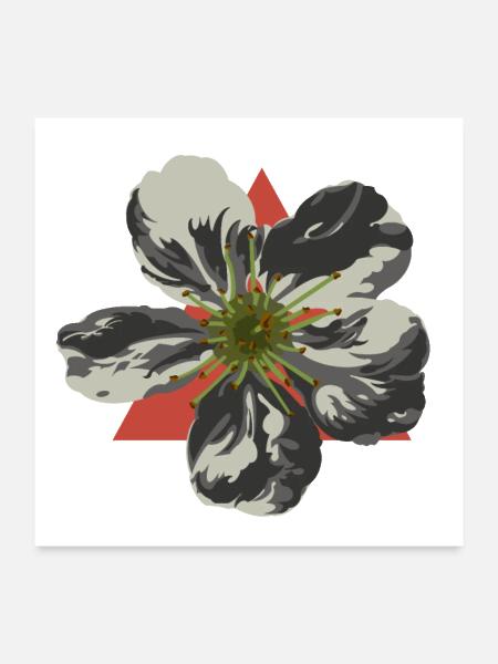 Cherry Blossom Explosion - Poster 24x24 - white - Front