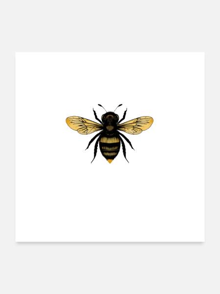 Detailed Golden Honeybee - Poster 24x24 - white