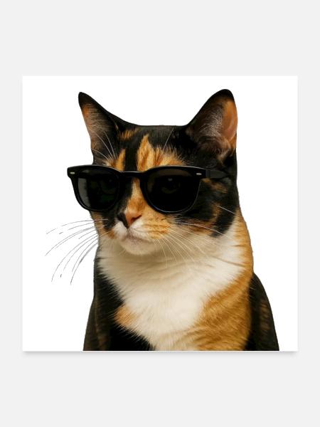 Cool Cat - Poster 24x24 - white - Front