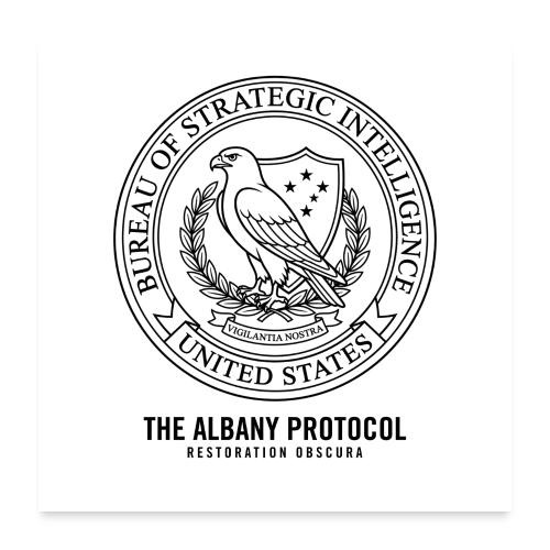 BSI | From The Albany Protocol - Poster 24x24