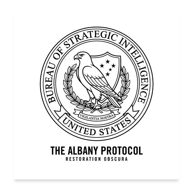BSI | From The Albany Protocol