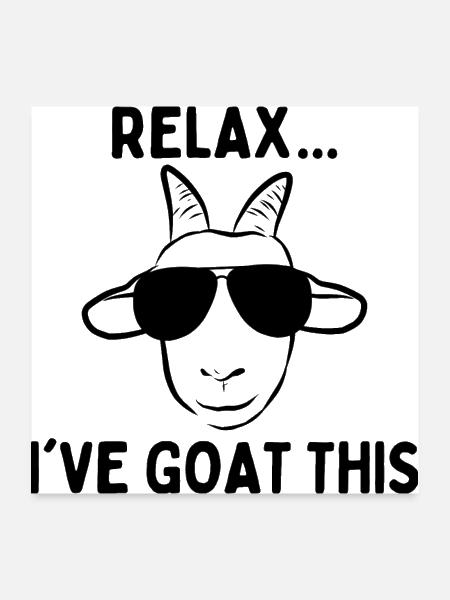 Relax I Goat This - Poster 24x24 - white - Front