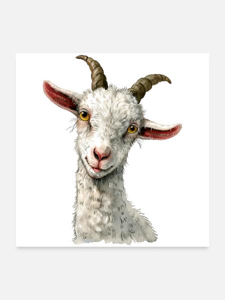 Goat - Poster 24x24 - white - Front