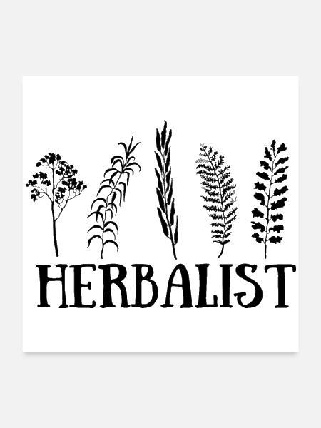 Herbalist - Poster 24x24 - white - Front