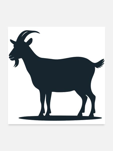 Goat - Poster 24x24 - white - Front