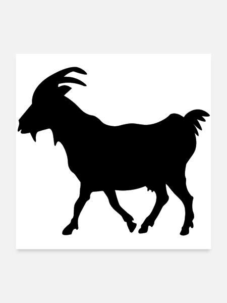 Goat Black - Poster 24x24 - white - Front