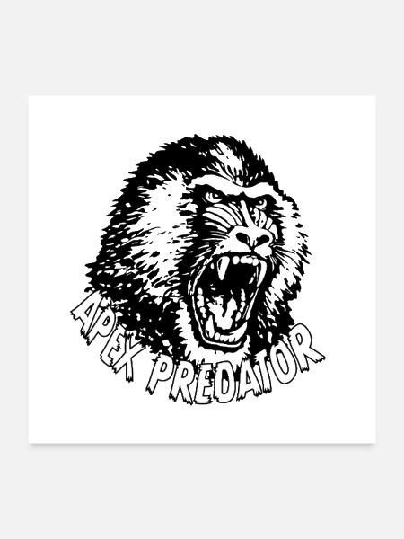 Apex Predator - Baboon - Poster 24x24 - white