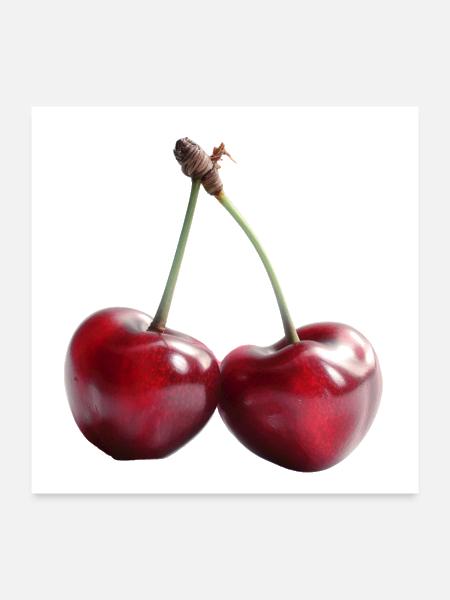 Cherry Pair - Poster 24x24 - white - Front