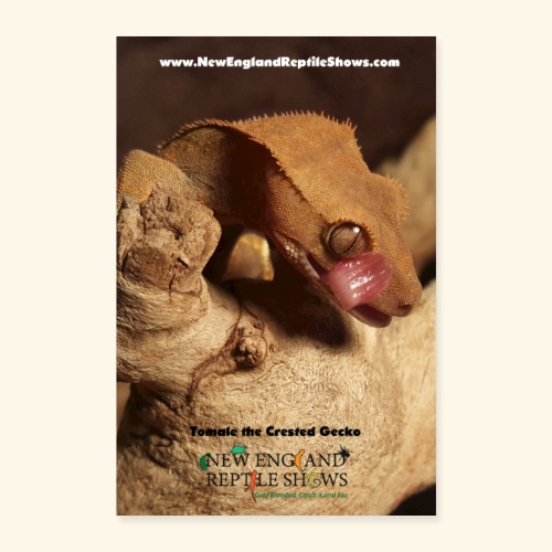 Tomale the Crested Gecko - Poster 8x12