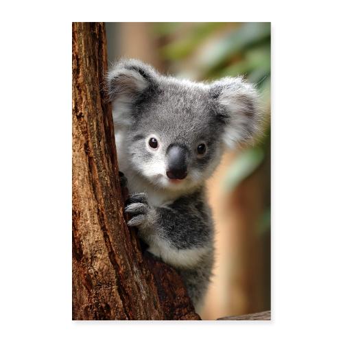 Koala in the Gum Tree - Poster 8x12