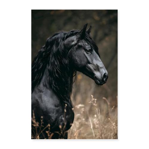Horse: Silent Grace - Poster 8x12