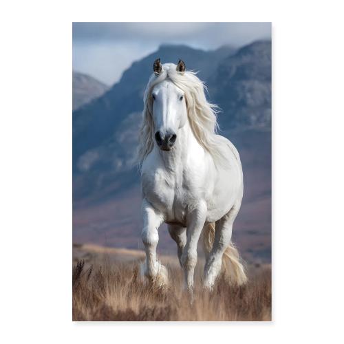White horse galloping - Poster 8x12