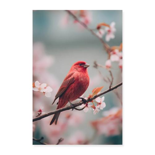 Red bird: Blossom Perch - Poster 8x12