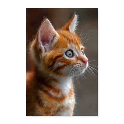Orange and White Kitten Charm - Poster 8x12