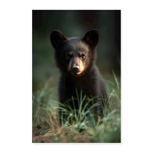 Little Black Bear Portrait - Poster 8x12