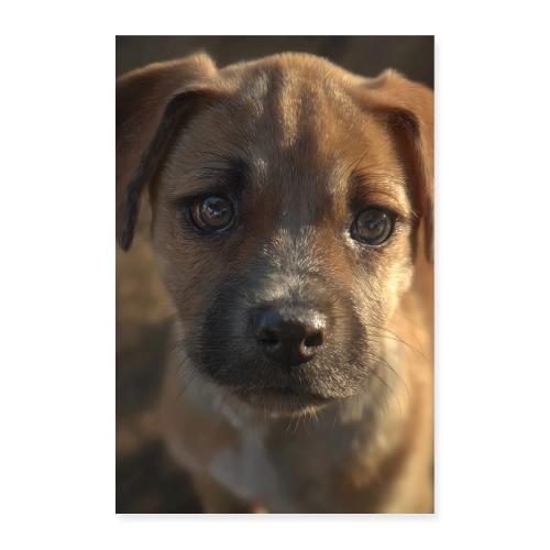 Close-Up Puppy Charm - Poster 8x12