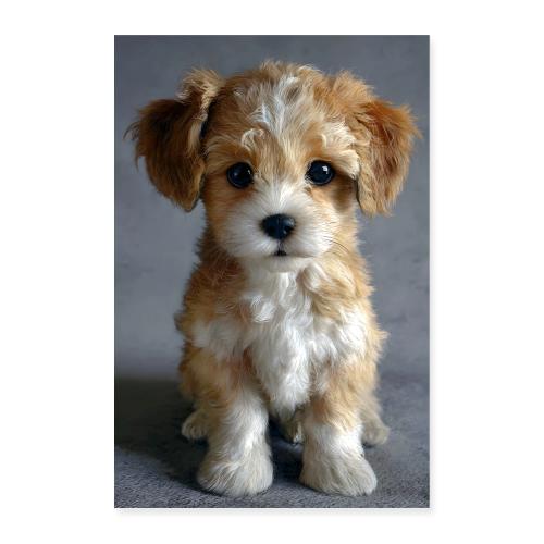 Gentle Puppy Portrait on Grey - Poster 8x12