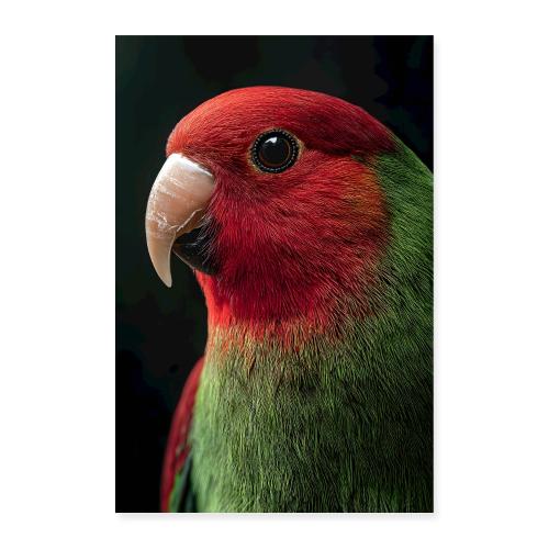 Red and Green Parrot Glow - Poster 8x12