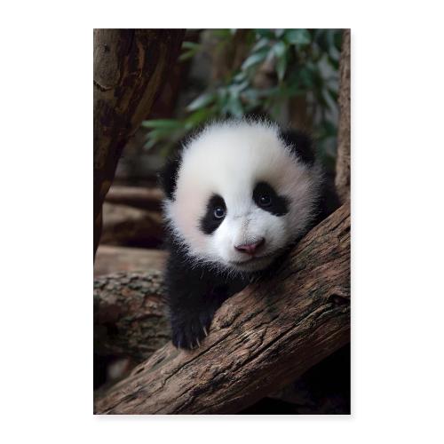 Panda’s Sweet Stare - Poster 8x12
